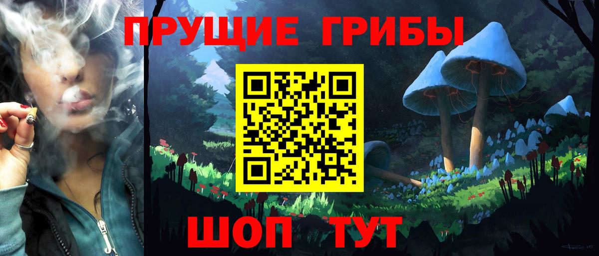 Галлюциногенные грибы прущие грибы  Псилоцибиновые грибы мицелий  Добрянка  Вход с VPN 