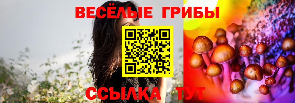 Псилоцибиновые грибы ЛСД Добрянка